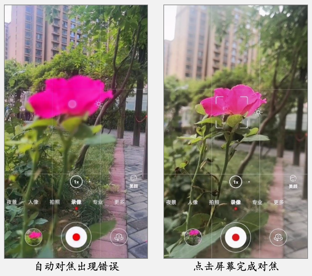 对焦与测光示例